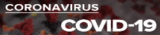 Covid-19: Novel Coronavirus Outbreak